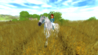 /album/my-gaming-life/beautyful-png/